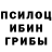 Галлюциногенные грибы мицелий Daulet Turgaliyev