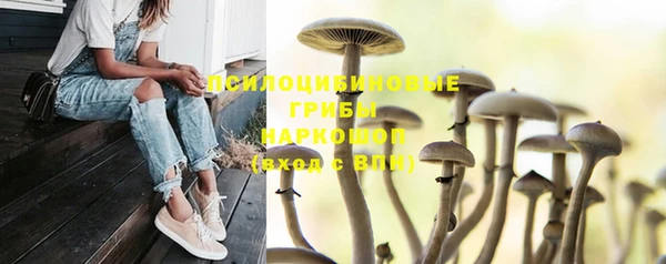 крисы Алексин