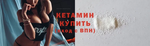 крисы Алексин