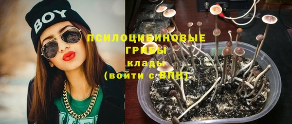 крисы Алексин