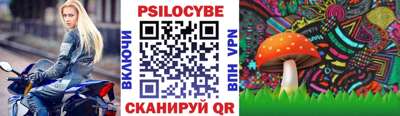Галлюциногенные грибы Magic Shrooms  где продают   Полысаево 